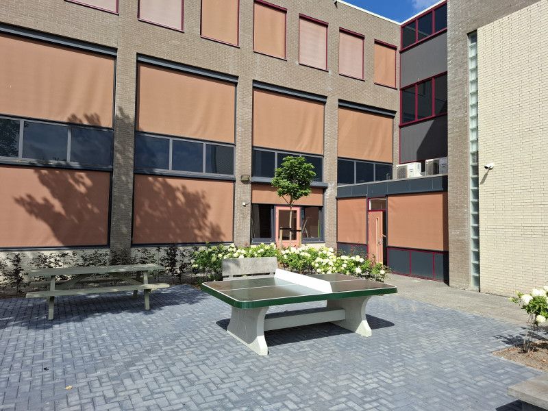 Thunbergia & van Dijke Hovenierswerken out  Middelharnis