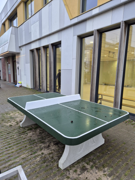 Dynamica Noordsterweg out  Wormerveer