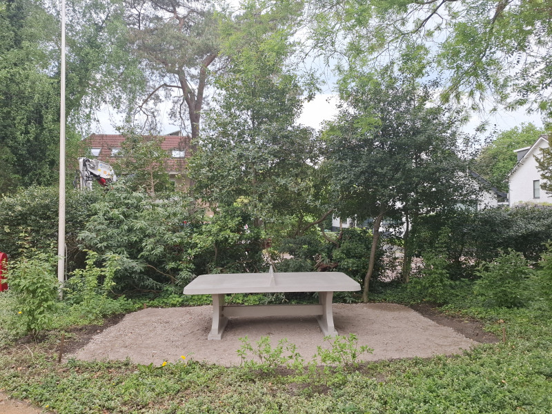 Tuinaanleg Abbing out  Bilthoven