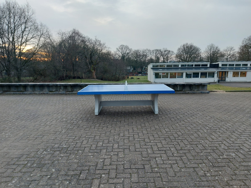 All In Green out  Rozendaal