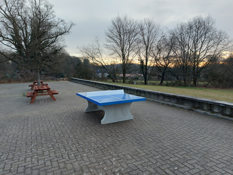 All In Green out  Rozendaal