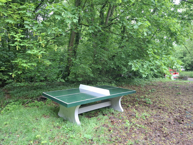 Robinia Int. bvba out  Evere