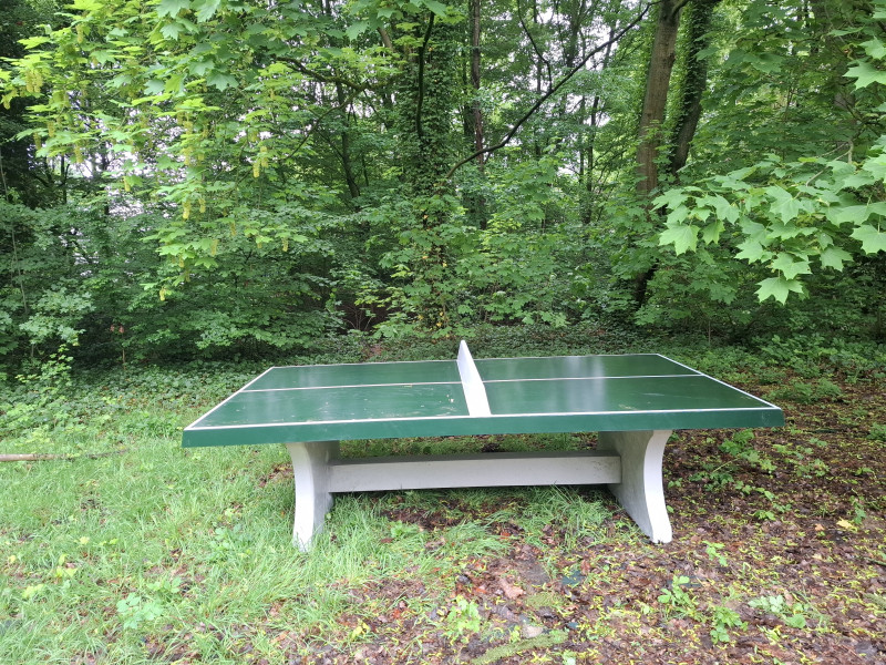 Robinia Int. bvba out  Evere