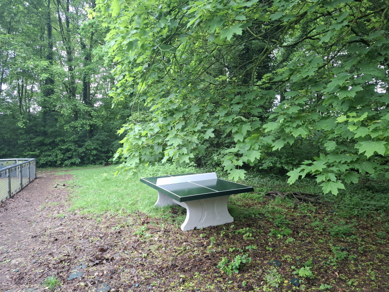 Robinia Int. bvba out  Evere