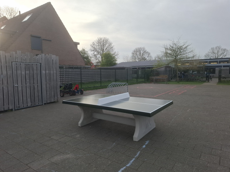 Sport ‘81 out  Zwaag