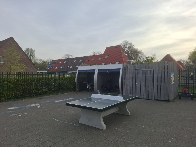 Sport ‘81 out  Zwaag