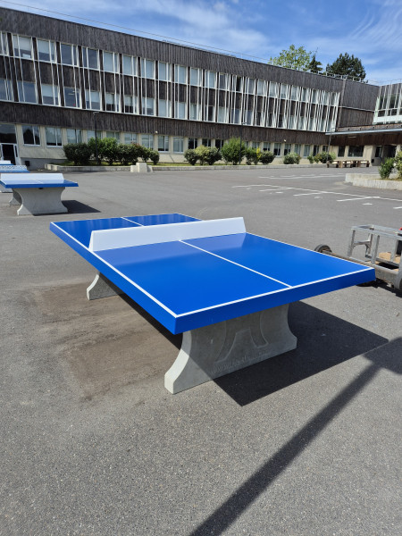 FSE collège Jean Bullant out  Ecouen