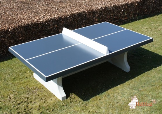 Table de ping-pong antracite