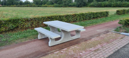 Picknickset Standard rollstuhlgerecht