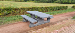 Picknickset Standard Anthrazit-Beton rollstuhlgerecht