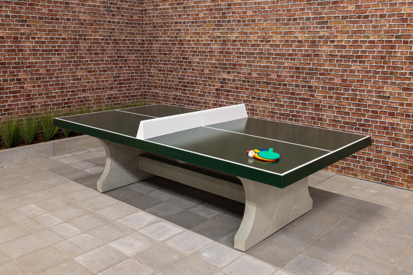 table de ping-pong verte