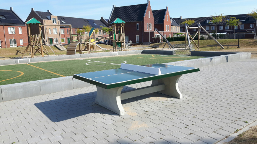 table de ping-pong verte