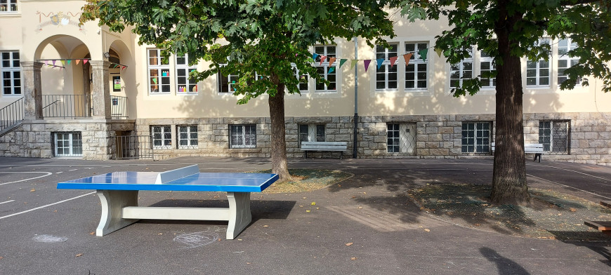 Tischtennistisch in Blau